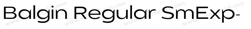 Balgin Regular SmExp字体转换